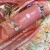 IMG_4134 IMG_4134